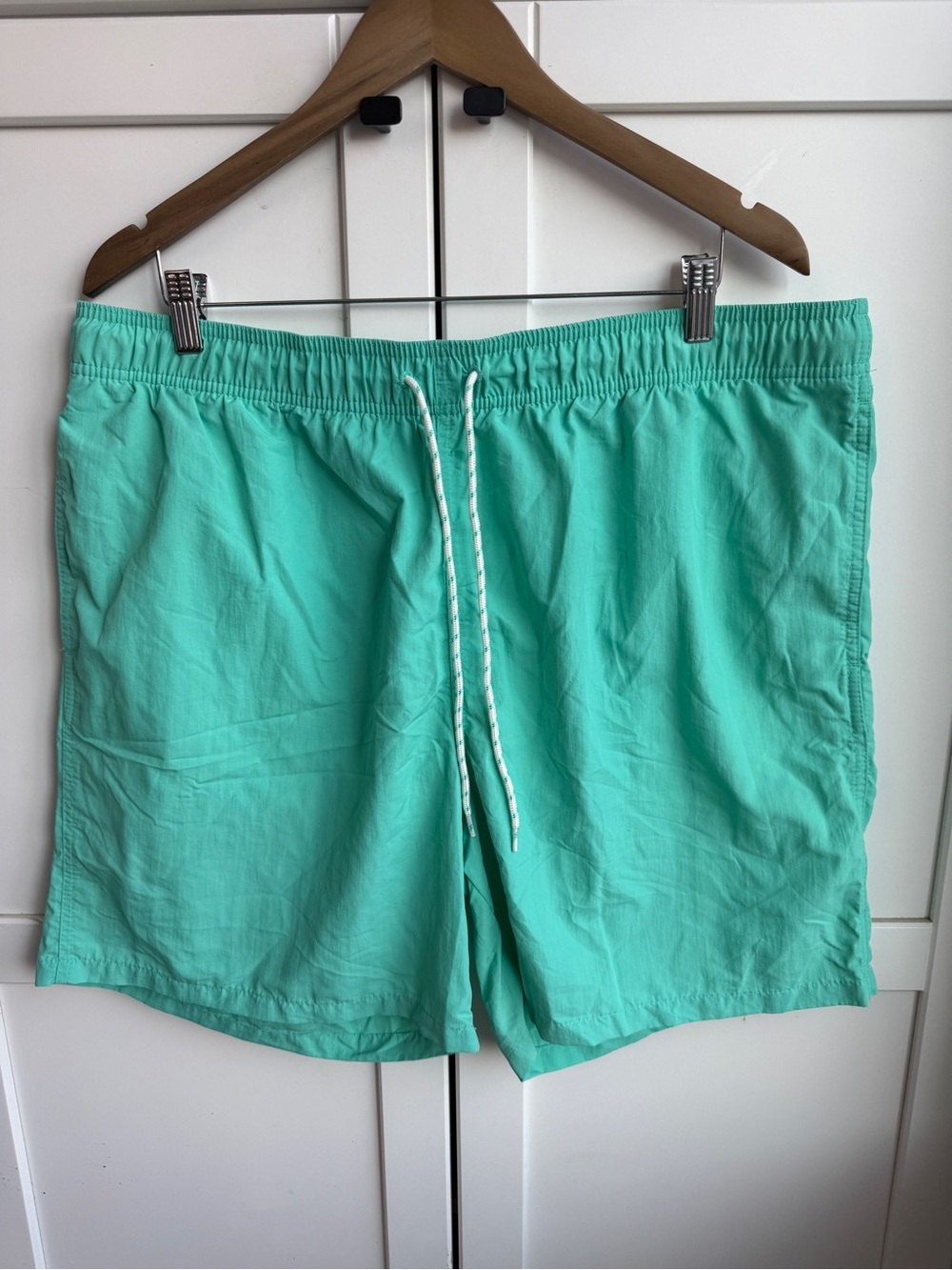Goodfellow & Co Mint Green Men's Swim Shorts Size L